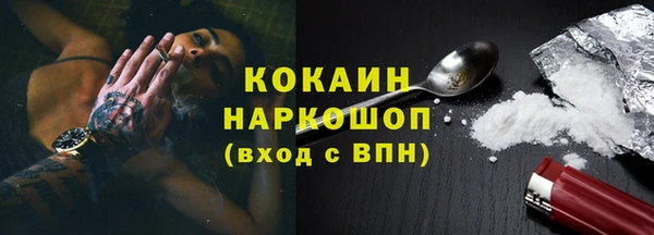 твердый Алзамай