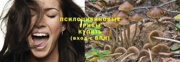 соль ск Алексеевка